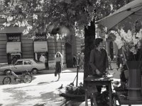 Cvjetni (Preradovićev) trg, 1980. godine (Foto Marija Braut)